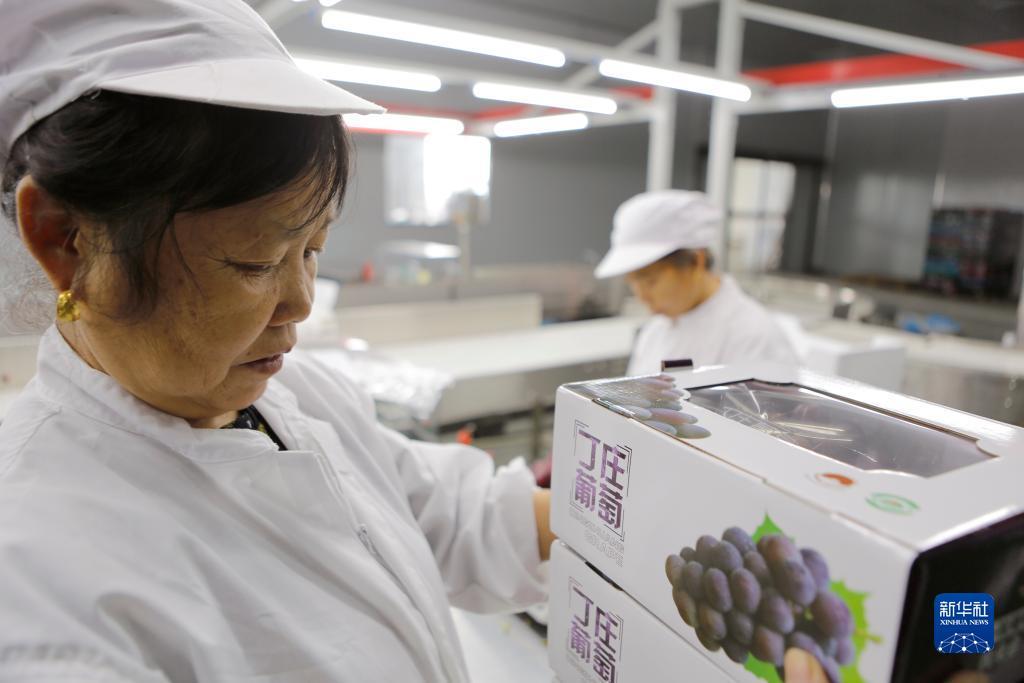汇丰国际的网址